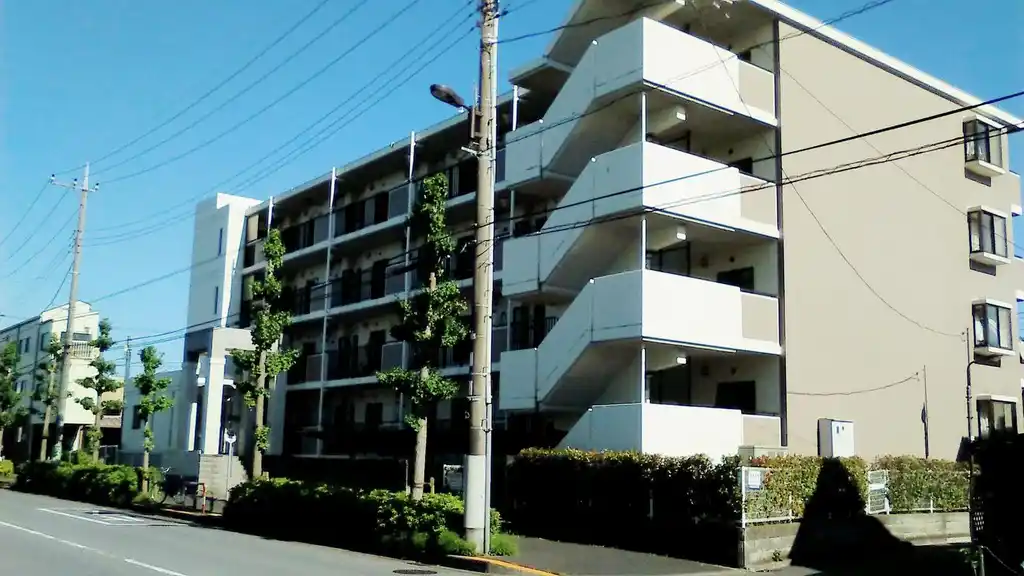 コモド平野 外観